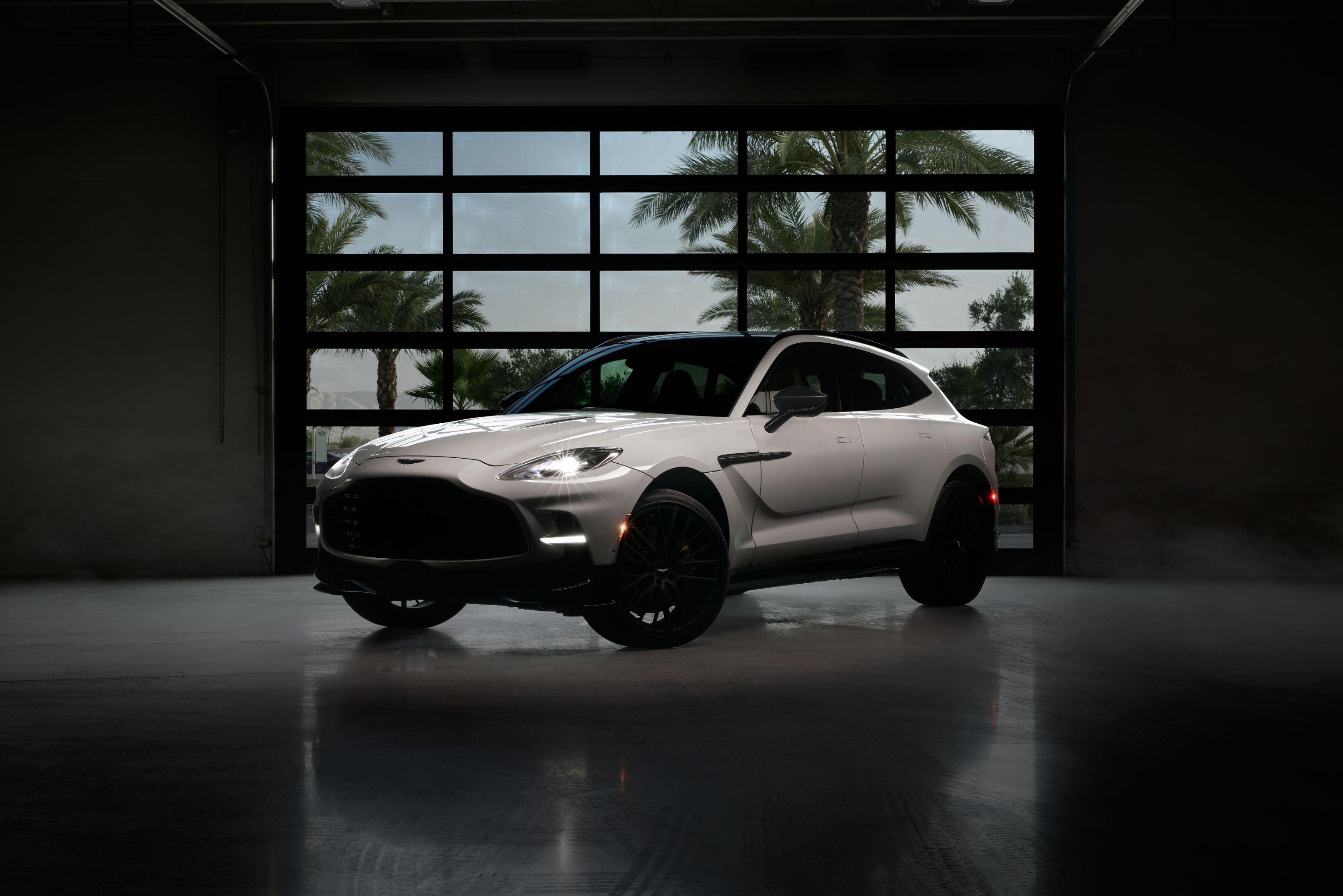 Aston Martin DBX with Dogs Rancho Mirage CA