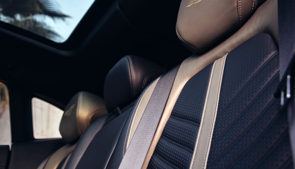 Aston Martin Rancho Mirage Leather Seats