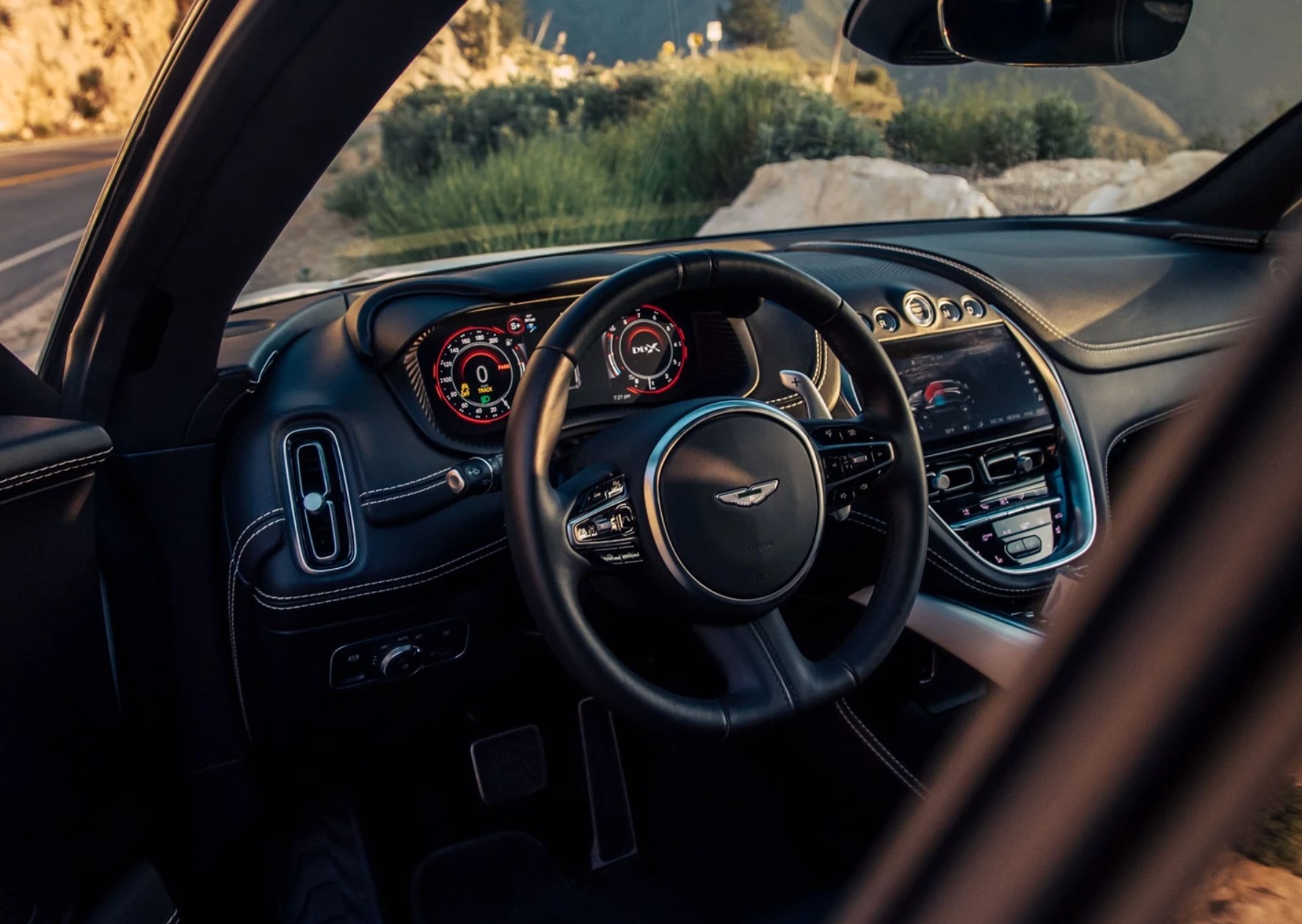 Aston Martin DBX with Dogs Rancho Mirage CA
