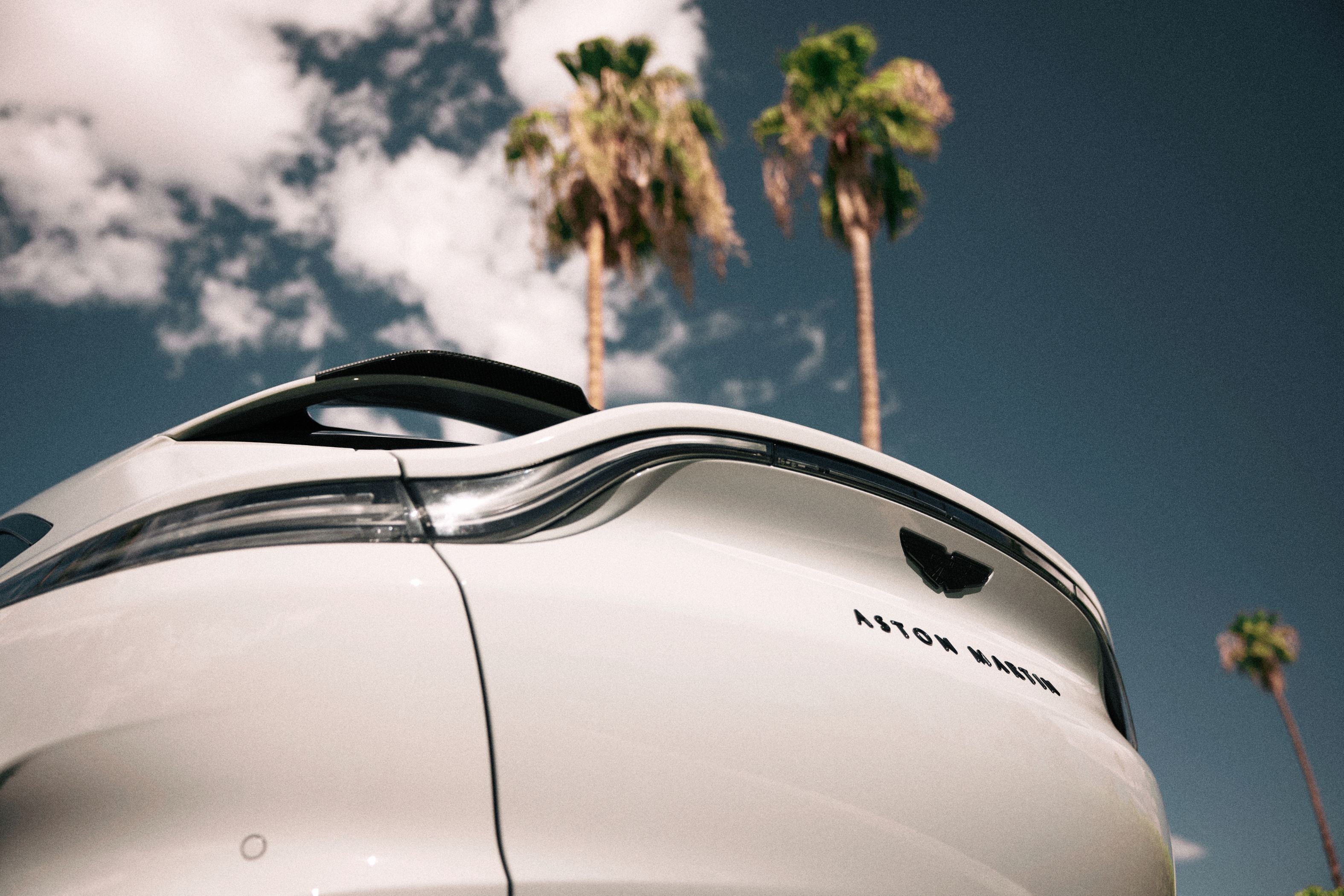 Aston Martin DBX Interior Leather Rancho Mirage CA